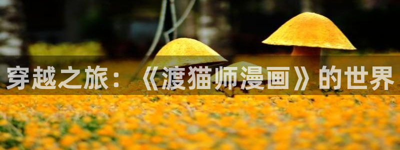 奇漫屋漫画在哪下载：穿越之旅：《渡猫师漫画》的世界